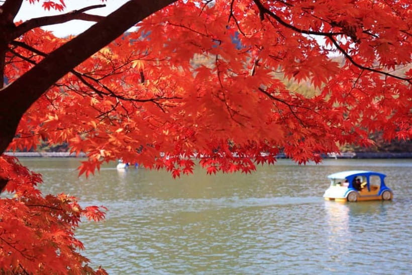 From Seoul: Pocheon, Sanjung Lake and Bidulginang Fall Trip - Bidulginang Water Falls: the famous spot you will actually recognize