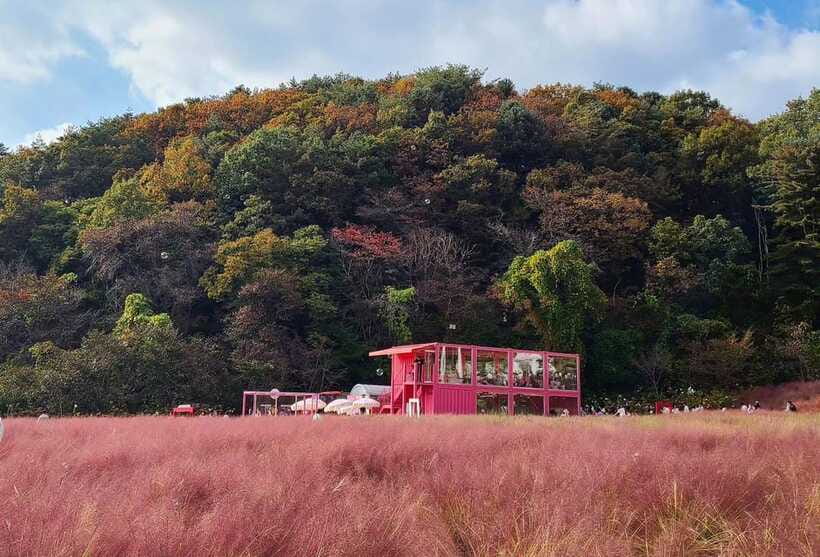 From Seoul: Pocheon, Sanjung Lake and Bidulginang Fall Trip - Guide quality in the real world: Edward and Yoon set the tone