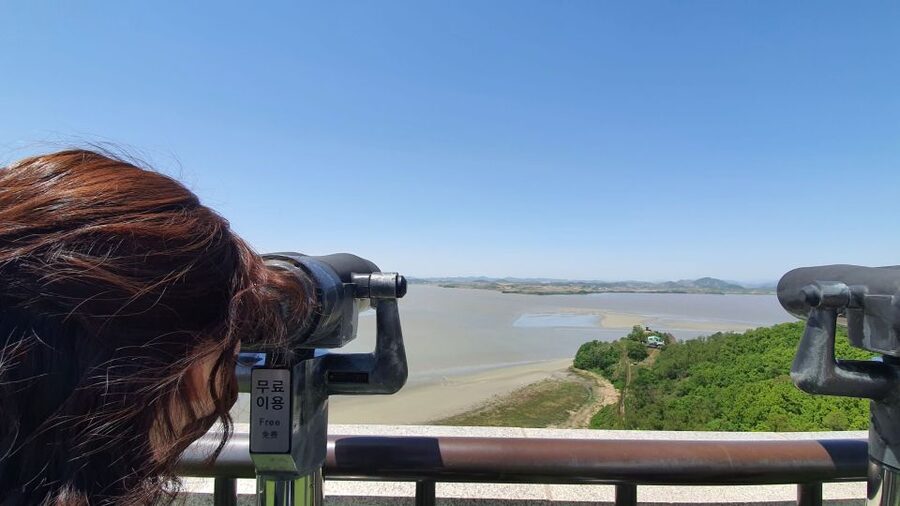 From Seoul: Private DMZ and Odusan Observatory Full-Day Tour - A private DMZ day from Seoul that feels grounded, not scripted