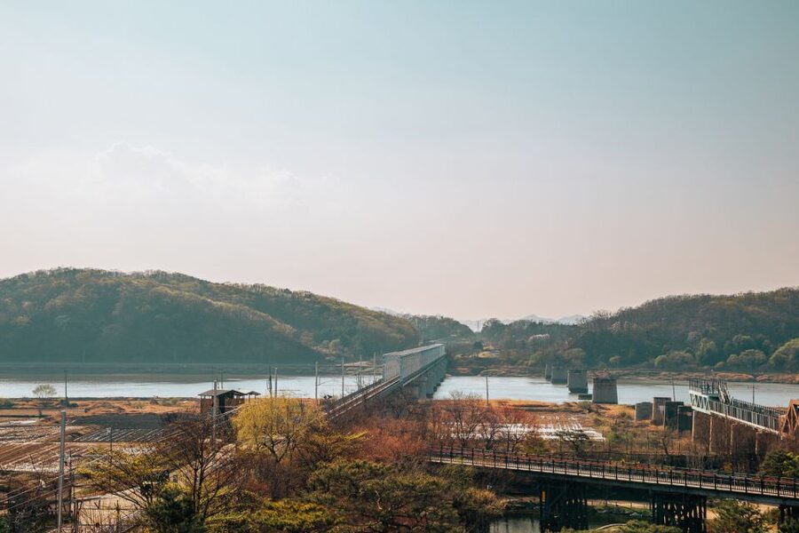 From Seoul: Private DMZ and Odusan Observatory Full-Day Tour - Lunch as part of the story: BBQ duck plus vegetarian options