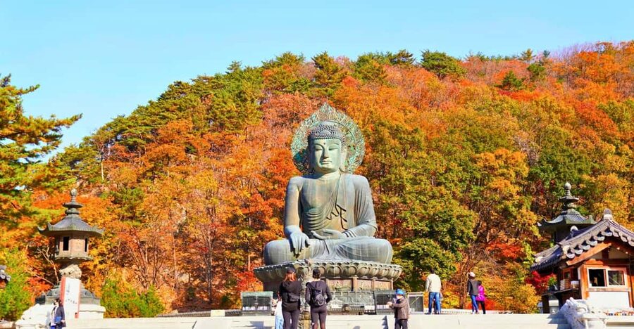 From Seoul: Seoraksan Mountain with Cable Car- Shuttle Bus - Sinheungsa Temple and the 14-meter bronze Buddha you’ll remember