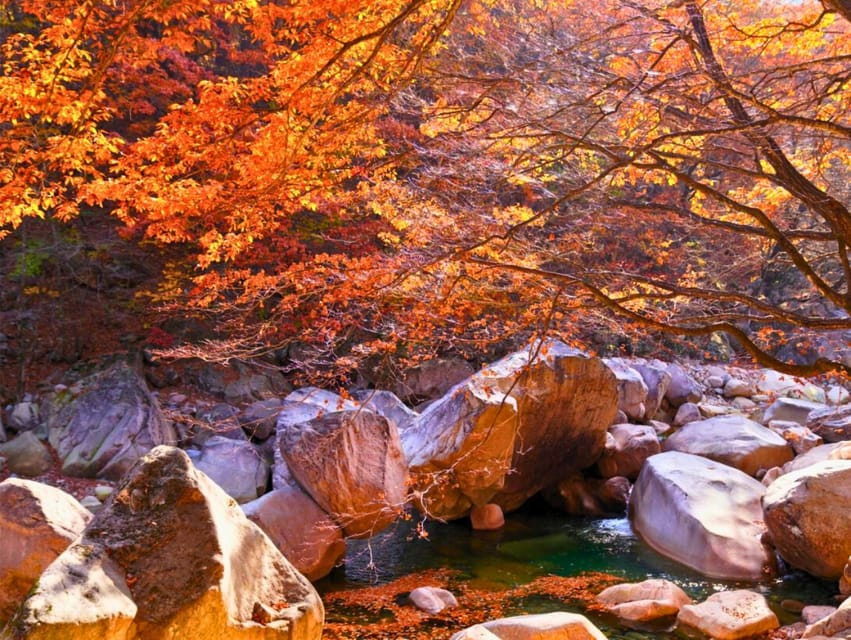 From Seoul: Seoraksan Mountain with Cable Car- Shuttle Bus - Autumn hiking at Mount Seorak, what to do when leaves or trails disappoint