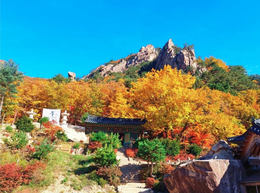 From Seoul: Seoraksan Mountain with Cable Car- Shuttle Bus - The role of the guide, and why names like Peter Park and Yami pop up