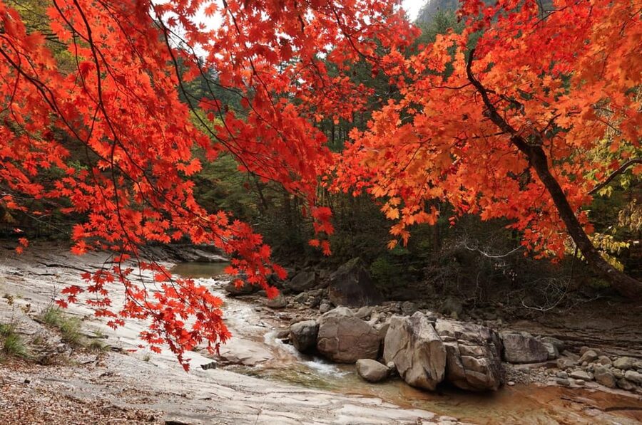 From Seoul: Seoraksan Mountain with Cable Car- Shuttle Bus - Price and value: what your $67 actually covers