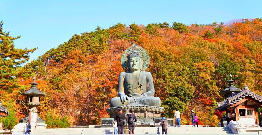 From Seoul: Seoraksan Mountain with Cable Car- Shuttle Bus - What to bring, and how to prepare so the day feels smooth