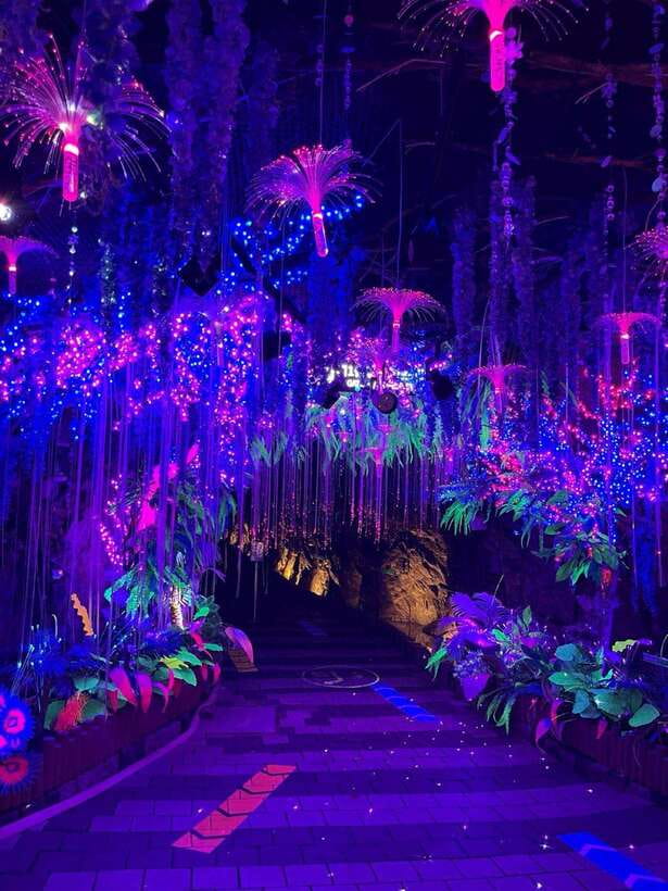 From Seoul: Starfield Library, Hwaseong, Gwangmyeong Cave - Wine Cave and the largest dragon sculpture in Korea: the two “don’t miss” moments