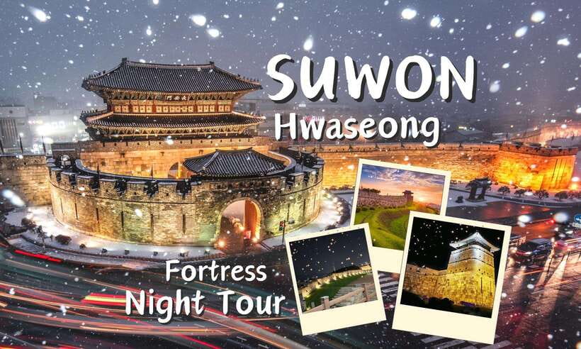 From Seoul: Suwon Hwaseong Fortress Night Tour - Why Suwon Hwaseong Fortress at night is the smart move