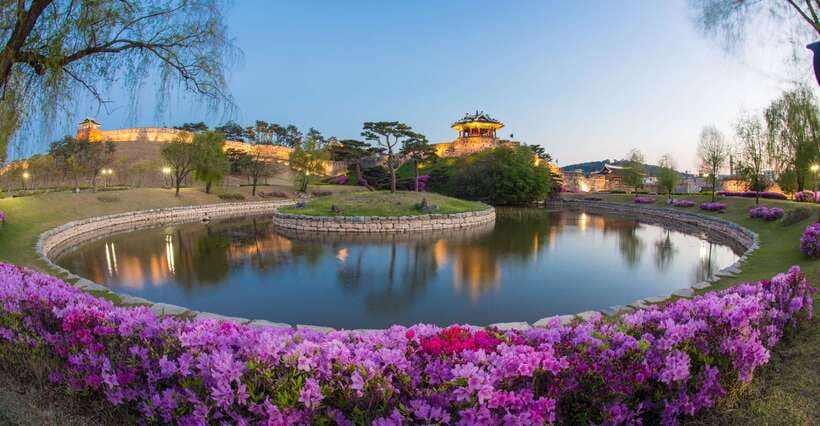 From Seoul: Suwon Hwaseong Fortress Night Tour - Where you end up: Myeongdong as your “after-tour” plan