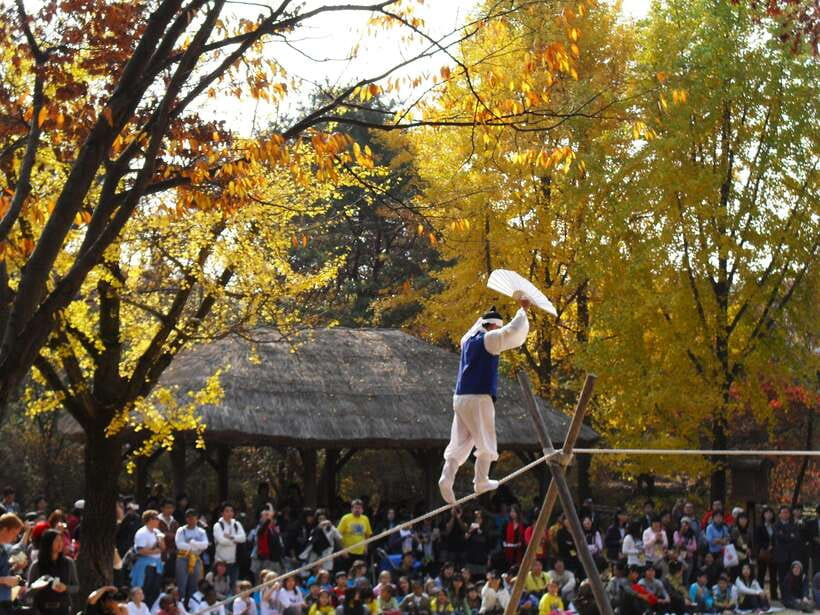From Seoul: Suwon Hwaseong Fortress Tour - Comfort Tips: Shoes, Walking Limits, and Who This Tour Fits Best