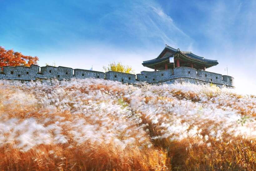 From Seoul: Suwon Hwaseong Fortress Tour - Hwaseong Fortress Walls: Why This UNESCO Site Clicks Faster With a Guide