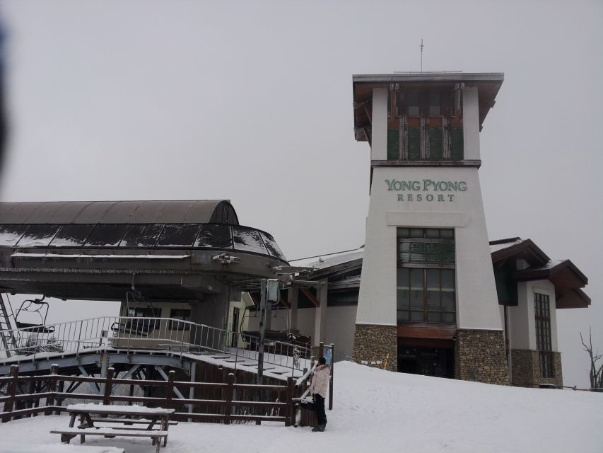 From Seoul: Yongpyong Ski Day Tour with Transportation - Why Yongpyong is the Winter Olympics day trip choice