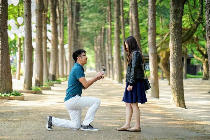 Full-Day Customizable Private Tour to Nami Island and surrounding Area - Key highlights to know before you go
