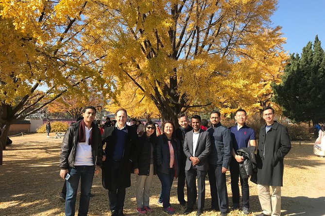 [ Full Day ] Nami Island & Petit France From Seoul - Price and Value: What You Get for $150