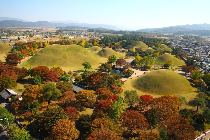 Full day Private Gyeongju UNESCO Heritage Tour : a glimpse into Silla - Donggung Palace and Wolji Pond (Anapji), the famous night-view focus