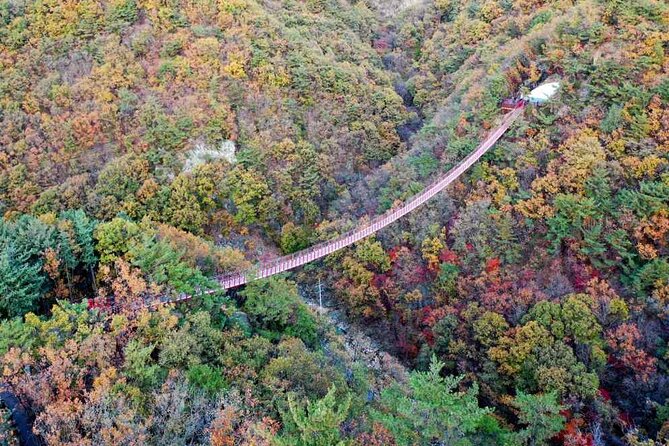 Full Day Private Tour DMZ (The 3rd Tunnel) & Suspension Bridge - Dora Observatory: Three Floors and Clear North Korea Views