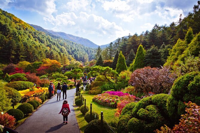 Full Day Private Tour Nami Island, Garden & Petite France - Pinocchio and Da Vinci Italian Village: art-themed fun with a time limit