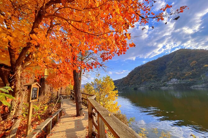 Full Day Private Tour Nami Island, Garden & Petite France - Price and value: is $260 per person fair for what you get?