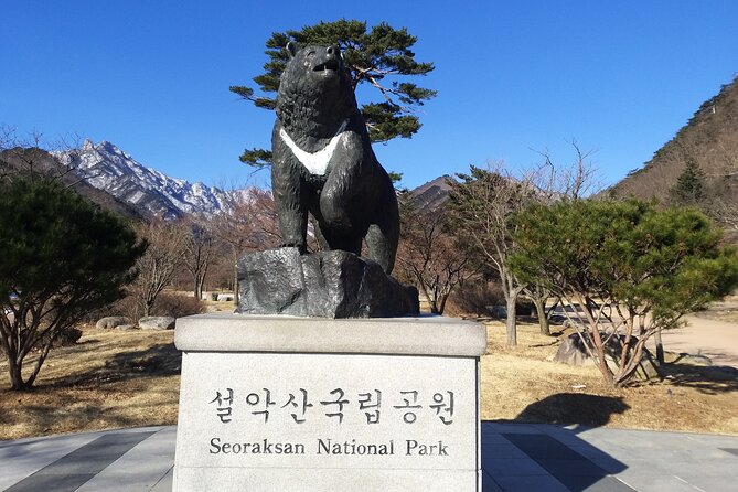 Full-Day Tour in Mt. Seorak & Nami (+Rail Bike Option) - Why Mt. Seorak and Nami Island make a smart pairing