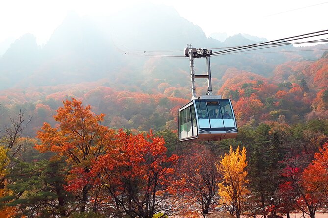 Full-Day Tour in Mt. Seorak & Nami (+Rail Bike Option) - The Gapyeong rail ride stop: using the Bukhan River views as a breather
