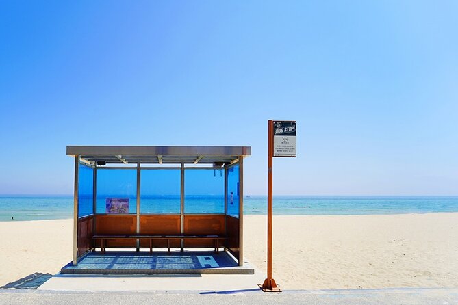 Full Day Tour In The Soop BTS Ver in PyeongChang Filming Location - The bus ride: where your day actually sets the mood