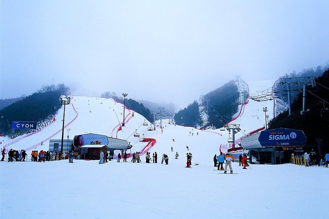 Gangchon Elysian Ski Day Trip from Seoul - Pickup in Seoul Starts the Day on the Right Foot