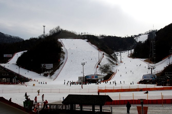 Gangchon Elysian Ski Day Trip from Seoul - Price and Value: Why $41.03 Can Be a Good Deal