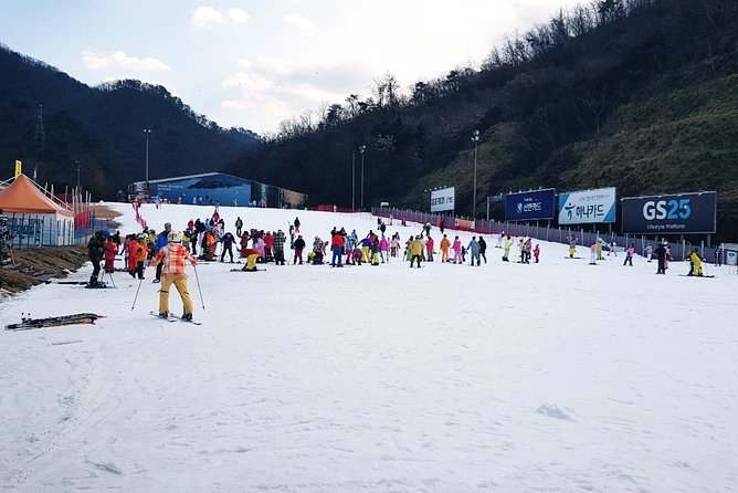 Gangchon Elysian Ski Day Trip from Seoul - Choose Your Option, Then Match the Day to Your Level