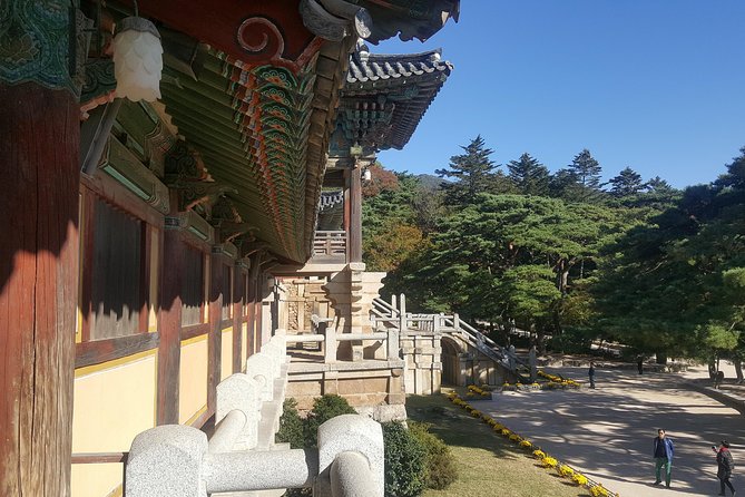 Gyeongju UNESCO Sites Tour by KTX train; The Museum Without walls - Cheomseongdae Observatory: why the Silla built for the sky