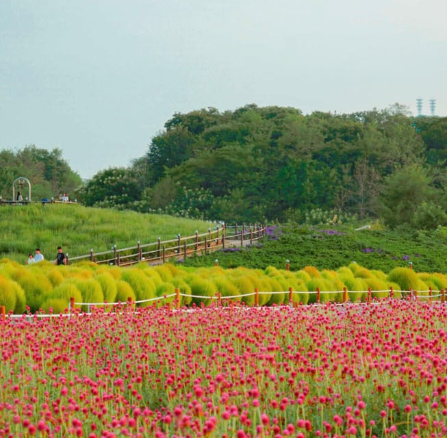 Hantan Canyon & Goseokjeong Flower Garden & Pink Muhly Park - Cheorwon Nature Day Trip: What You Are Really Signing Up For