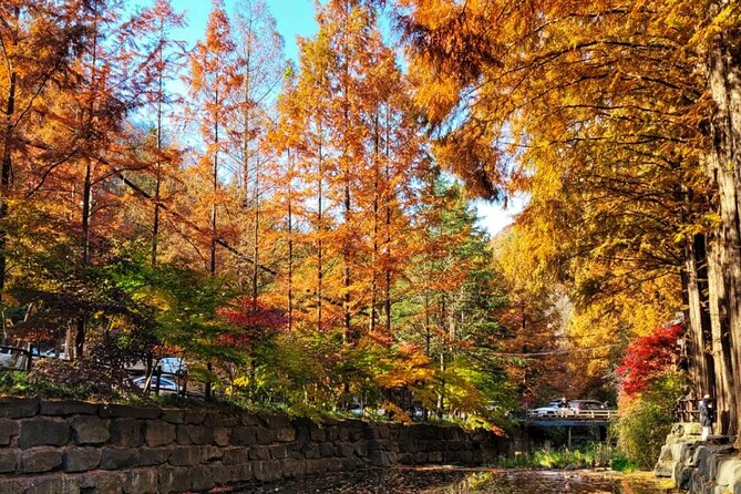 Jeonju Hanok Village Full-Day Tour:Jangtaesan Autumn Foliage - Key Things I’d Zoom In On