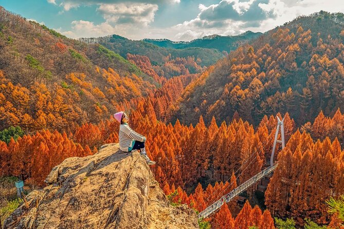 Jeonju Hanok Village Full-Day Tour:Jangtaesan Autumn Foliage - The Seoul-to-Jeonju drive: how to survive the long ride (and enjoy it)