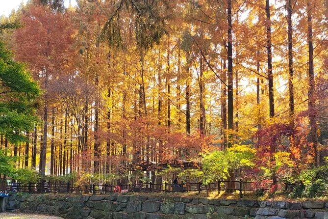 Jeonju Hanok Village Full-Day Tour:Jangtaesan Autumn Foliage - Who this tour is perfect for (and who should think twice)