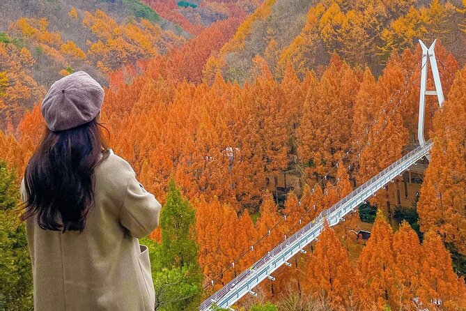 Jeonju Hanok Village Full-Day Tour:Jangtaesan Autumn Foliage - Should You Book This Jeonju and Jangtaesan Tour?