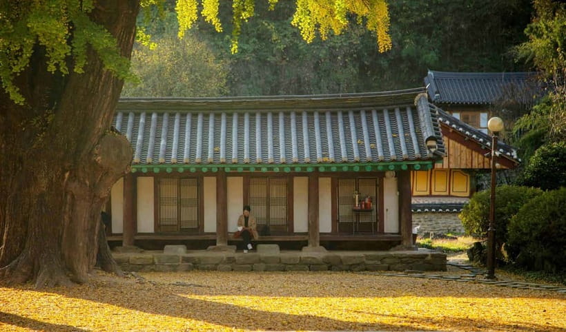 Jeonju Hanok Village Full-Day Tour:Jangtaesan Autumn Foliage - FAQ
