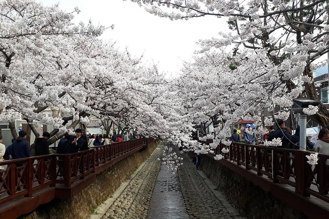 Jinhae Cherry Blossom + Busan Sunrise from Seoul - Returning to Seoul: Drop-Off Points and the Hongik Univ Shortcut