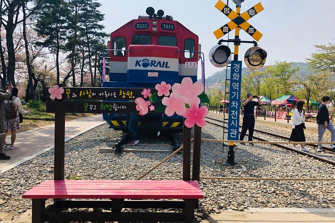 Jinhae Cherry Blossom + Busan Sunrise from Seoul - Price and Value at $108.49: What You’re Actually Paying For