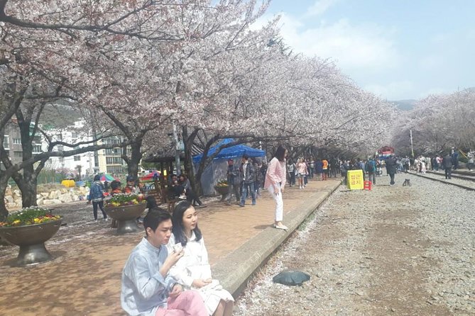 Jinhae Cherry Blossom + Busan Sunrise from Seoul - Haeundae Beach Morning Stop: A Quick Reset Before Sunrise