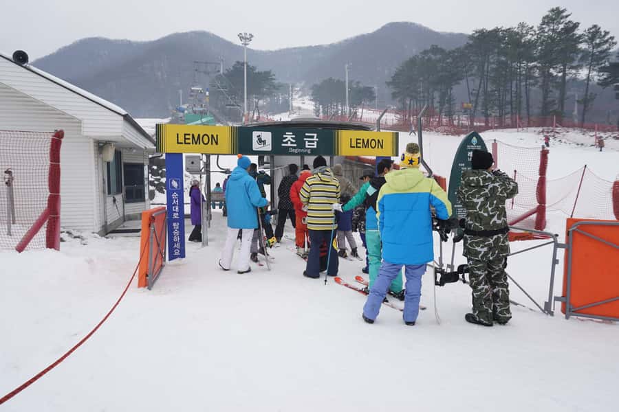Jisan Forest Resort: Ski Full-Day Tour or Shuttle from Seoul - What Makes This Tour Work So Well