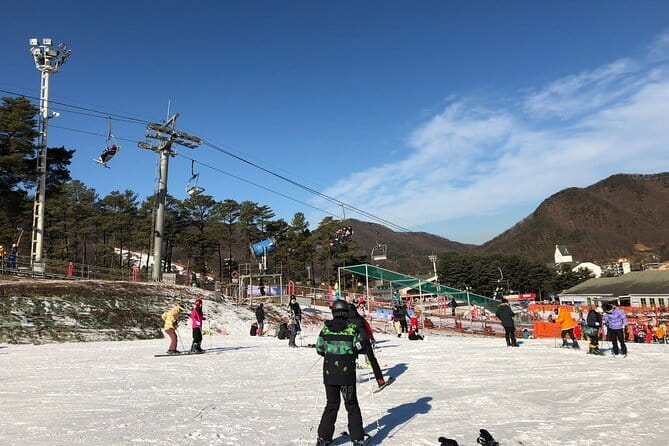 Jisan Forest Ski Resort and Everland 1 Day Tour - A long Seoul-to-snow day you can actually pull off