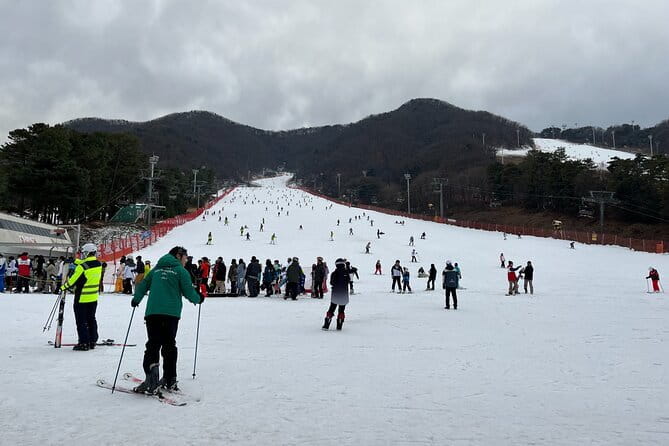 Jisan Forest Ski Resort and Everland 1 Day Tour - From Jisan to Everland: the transfer that helps you switch gears
