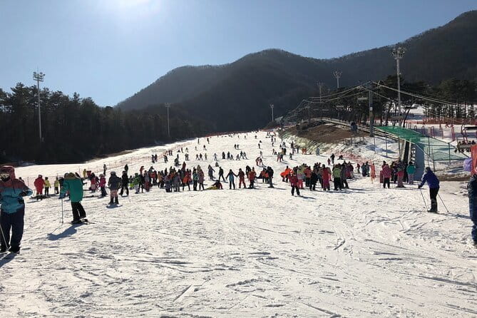 Jisan Forest Ski Resort and Everland 1 Day Tour - Jisan Forest: your first turns feel safer with Sunkid MovingWalk