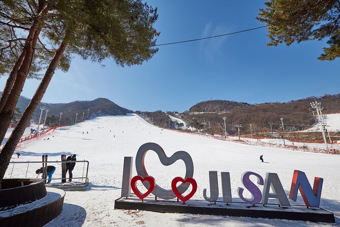 Korea Ski Tour from Seoul - Jisan Resort with Isaac Toast - Key Things to Know