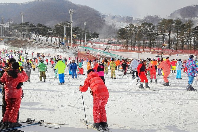 Korea Ski Tour from Seoul - Jisan Resort with Isaac Toast - Inside Jisan Forest Resort: Arrival, Valley Views, and Getting Set Up