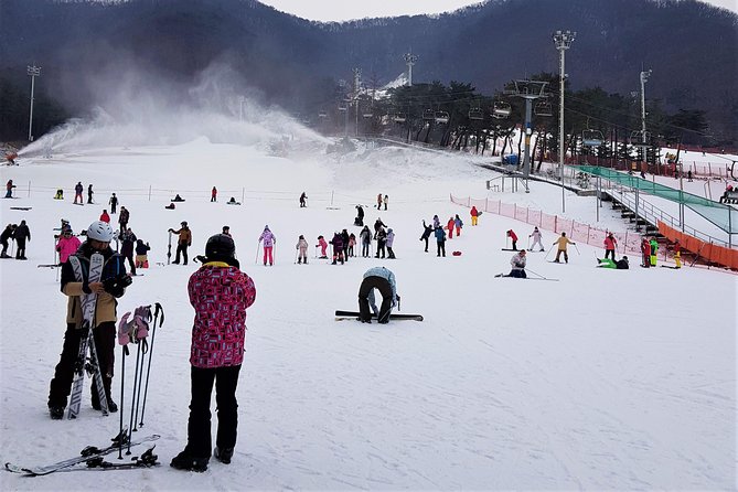 Korea Ski Tour from Seoul - Jisan Resort with Isaac Toast - Communication and Group Size: What Can Change Your Experience