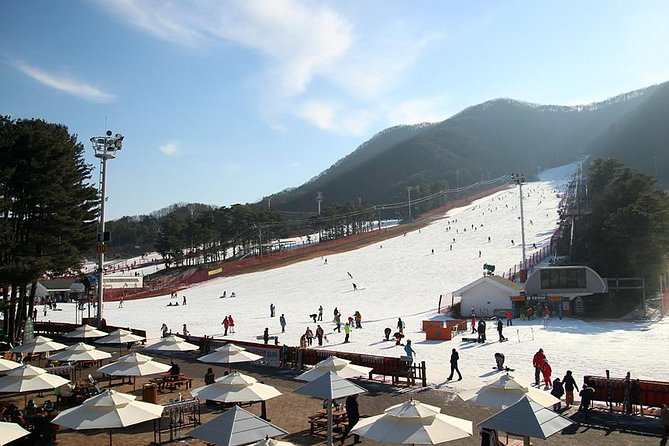 Korea Ski Tour from Seoul - Jisan Resort with Isaac Toast - Meeting at Myeongdong Station and What the Morning Feels Like