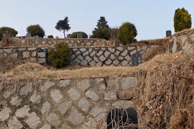 Korean Cemetery and Folklore Trek - Price and logistics: $66 for a guided folklore hike, not just transportation