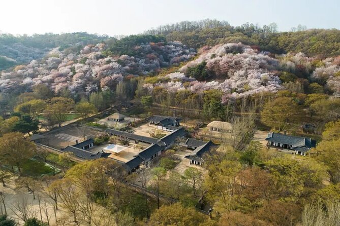 Korean Folk Village Afternoon Half day Tour - Mobile ticket plus a guide who can translate context