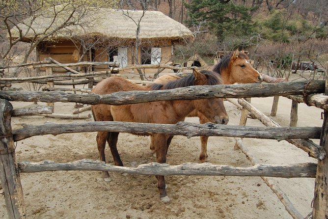 Korean Folk Village Afternoon Tour from Seoul - The Performance Block: Farmers Music and Folk Dancers in Traditional Outfits