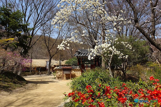 Korean Folk Village Half-day Guided Tour from Seoul - Performances that depend on weather, and how to plan for them