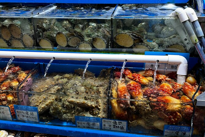 Korean Market Adventure with Chef Yie - Noryangjin Fish market - Price and value: what $150 buys you